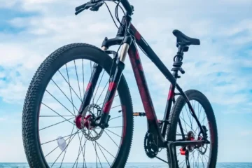 Bicicletas de montaña rodada 29