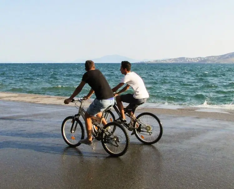 Vive la libertad con tu Bicicleta de Montaña Mongoose
