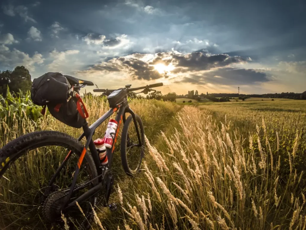 Conclusión sobre las Imágenes de Bicicletas de Montaña
