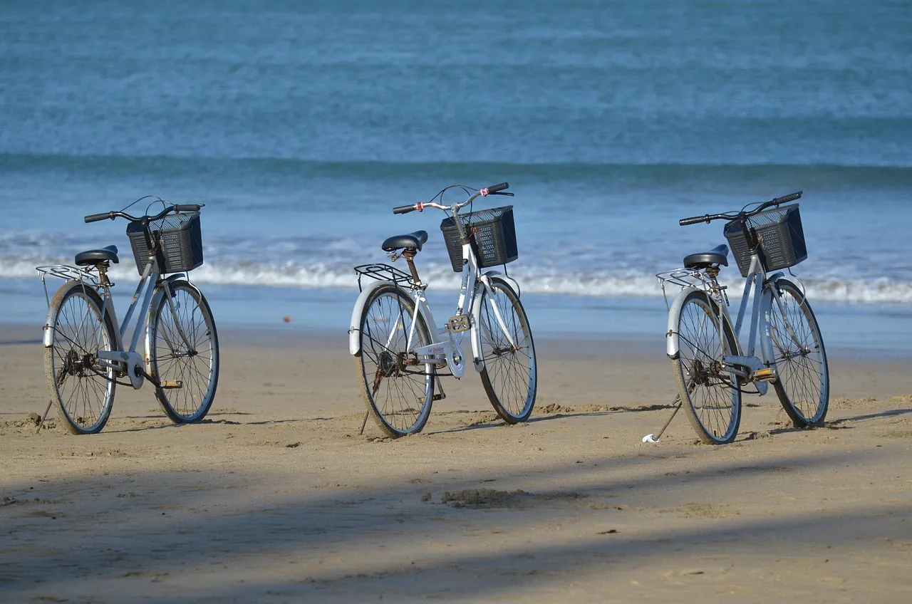 Benefits and Solutions: Bicicletas Plegables