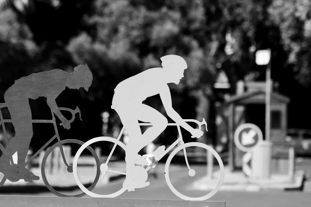 Expert Insights and EEAT: Bicicletas de Carreras