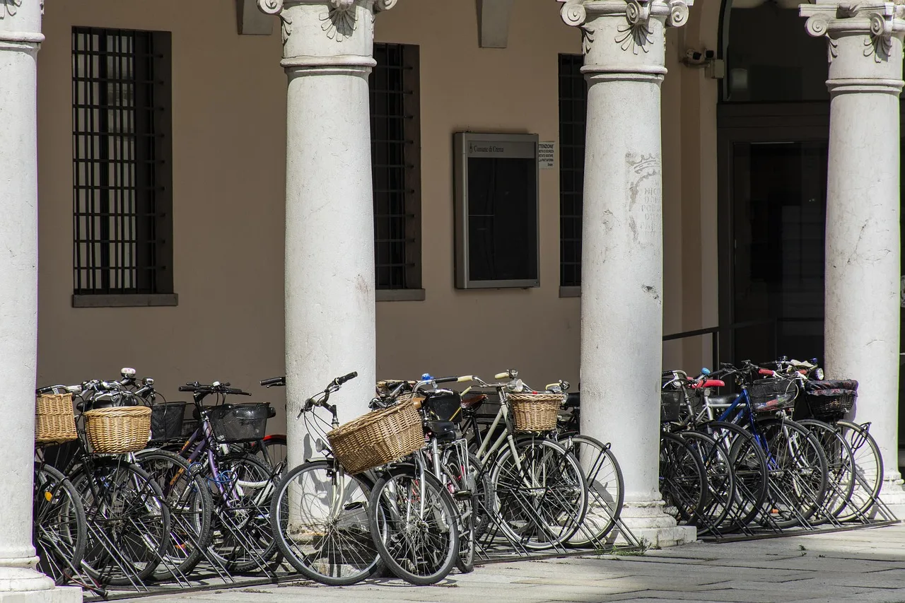 Expert Insights and EEAT: Bicicletas Plegables