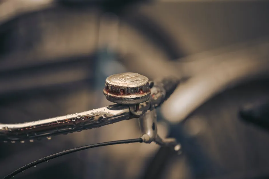 Expert Insights and EEAT: Cómo Quitar el Óxido de una Bicicleta Fixie Urbana