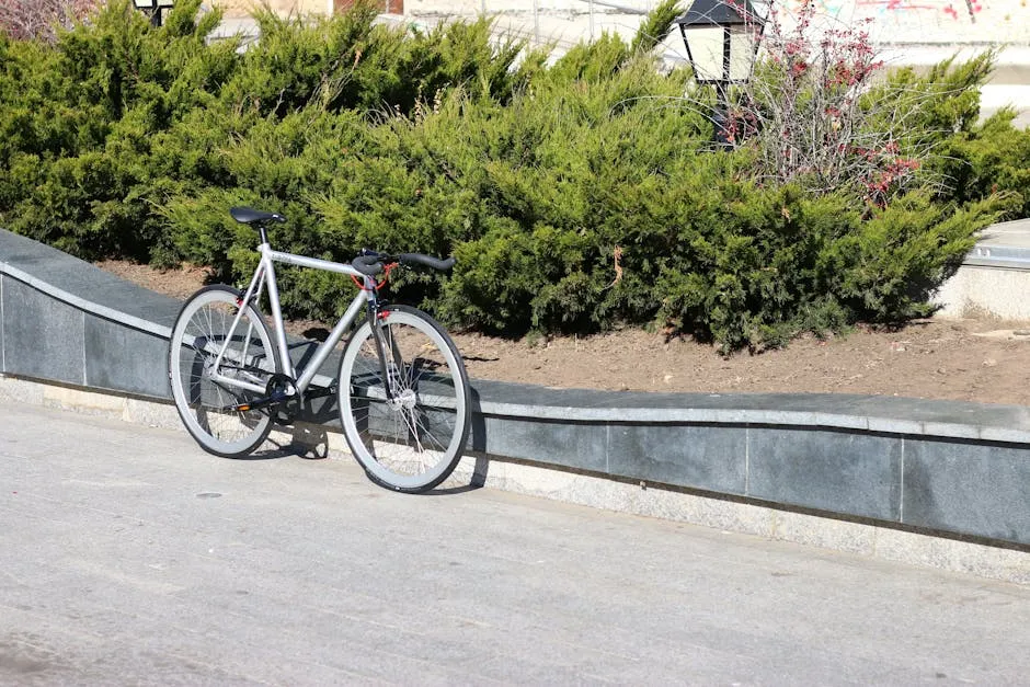 Bicicleta Fixie Urbana: ¿Frenos Sí o Frenos No?