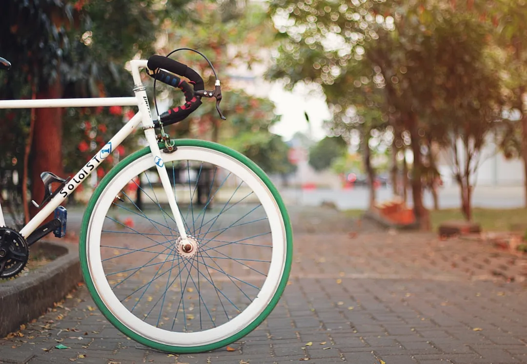 Por qué Ignorar el Mantenimiento del Piñón Arruina tu Experiencia Fixie