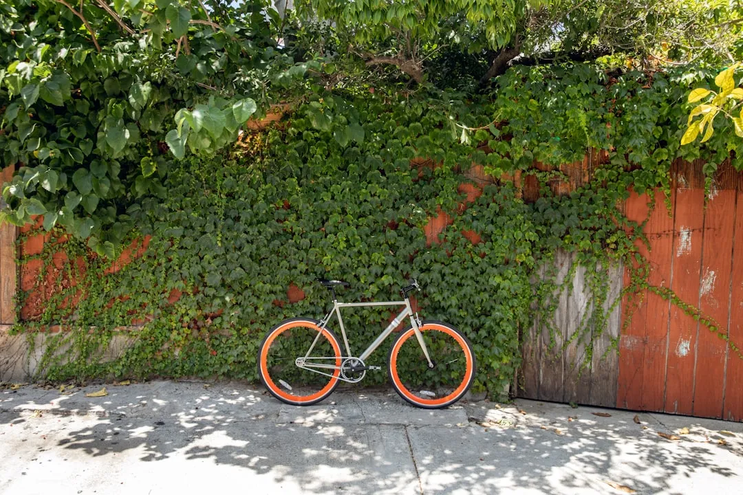 Bicicleta Fixie Urbana de Paseo: Comodidad y Piñón Fijo