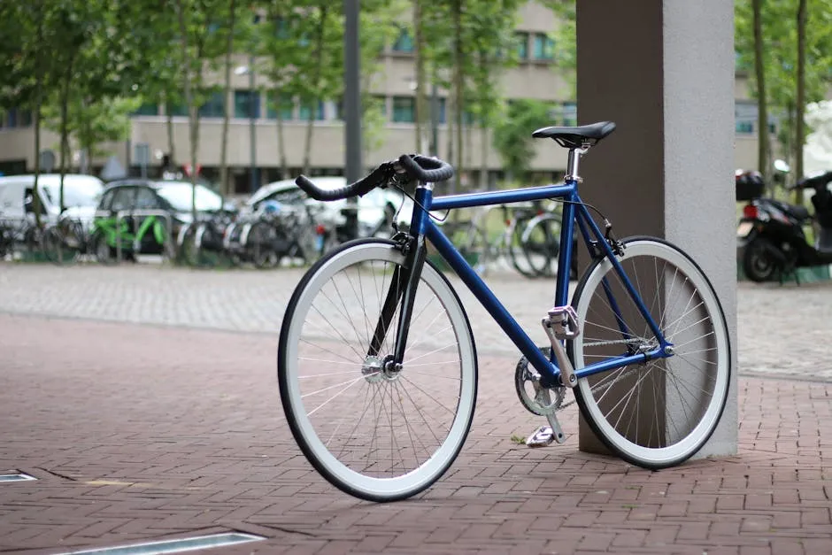 Bicicleta Fixie Urbana Hidroimpresión: Diseños Locos