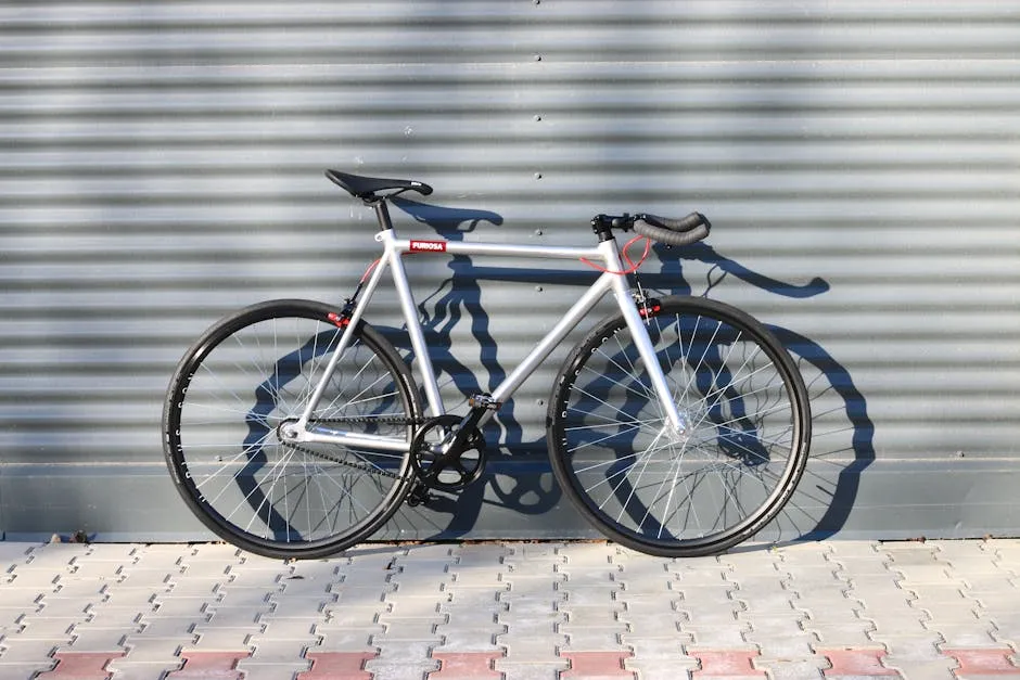 Radios de Colores para Bicicleta Fixie Urbana: Personalización