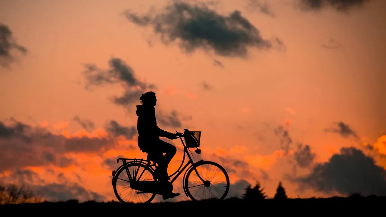 Ranking de Bicicleta Fixie Urbana para Uso Diario