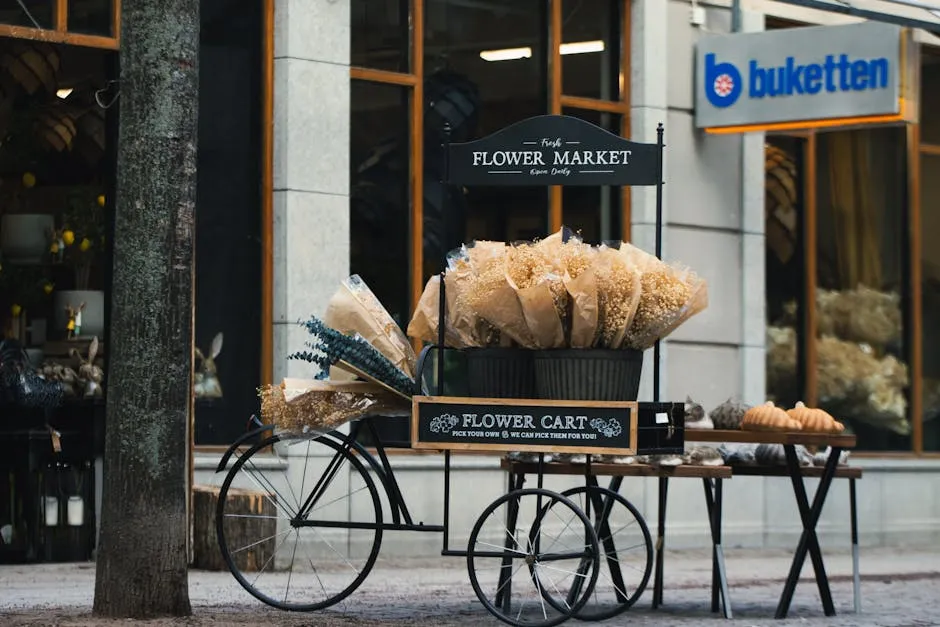Bicicleta Fixie Urbana Argentina: Guía de Compra Local