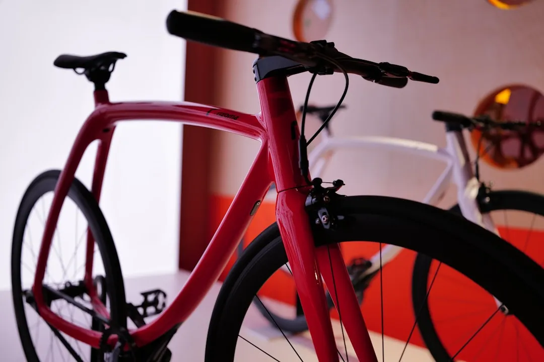 Bicicleta Fixie Urbana Hidroimpresión: Diseños Locos