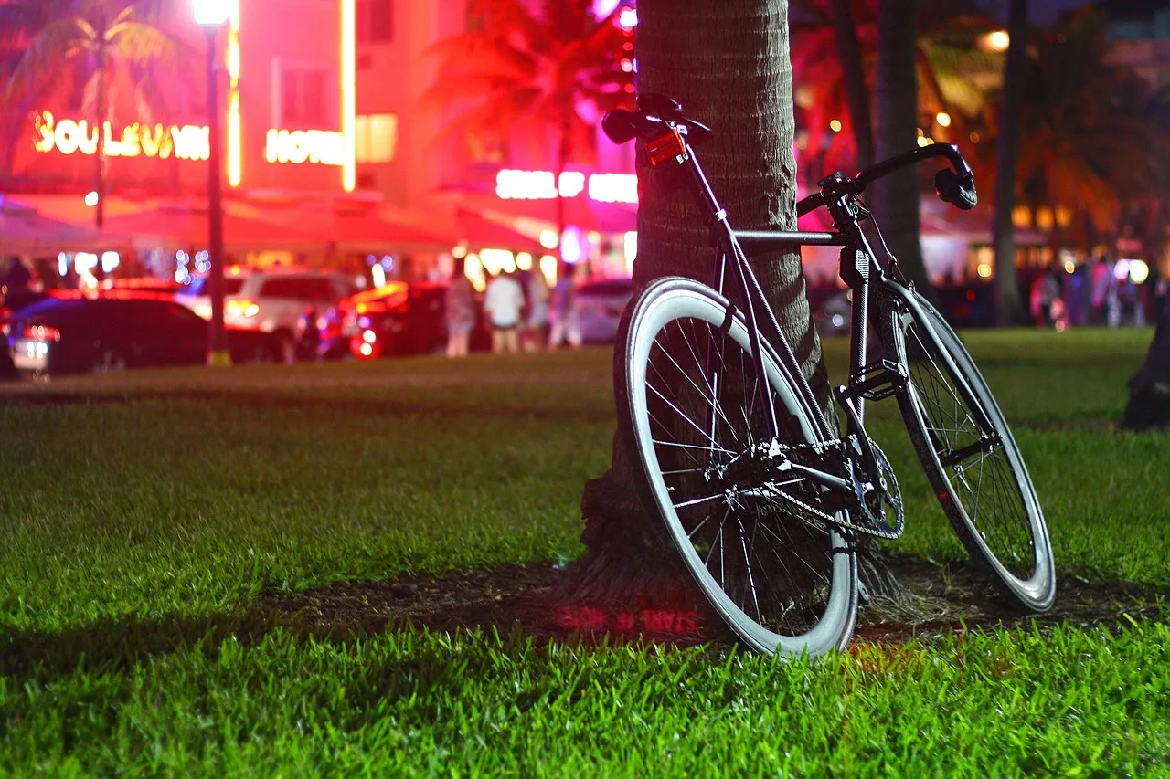 Cómo Limpiar Rodamientos de Bicicleta Fixie Urbana