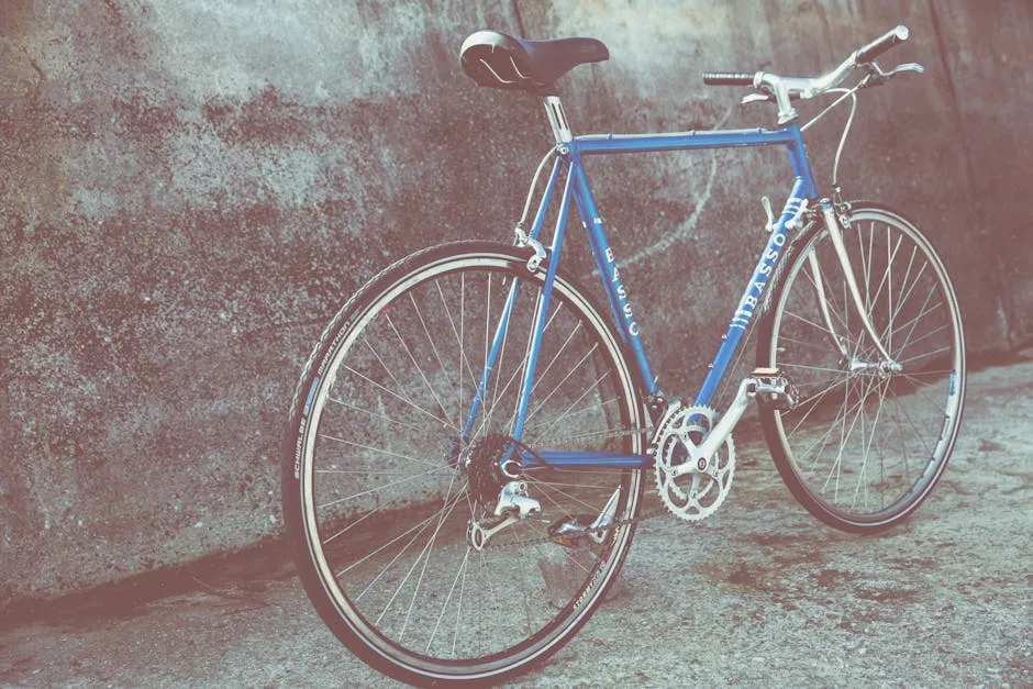 Radios de Colores para Bicicleta Fixie Urbana: Personalización