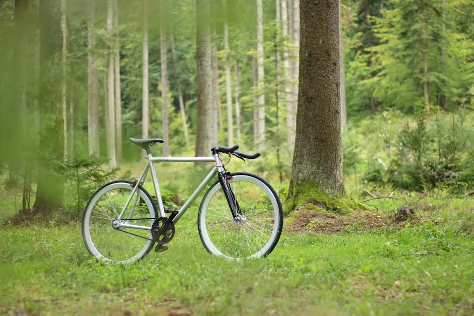 Conclusión: Bicicleta Fixie Urbana de Madera: ¿Realidad o Ficción?