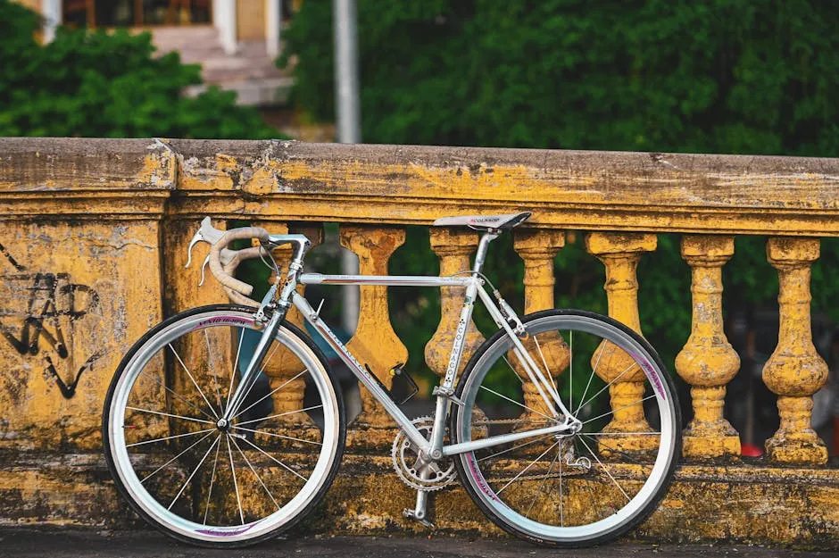 Conclusión: Bicicleta Fixie Urbana: ¿Frenos Sí o Frenos No?