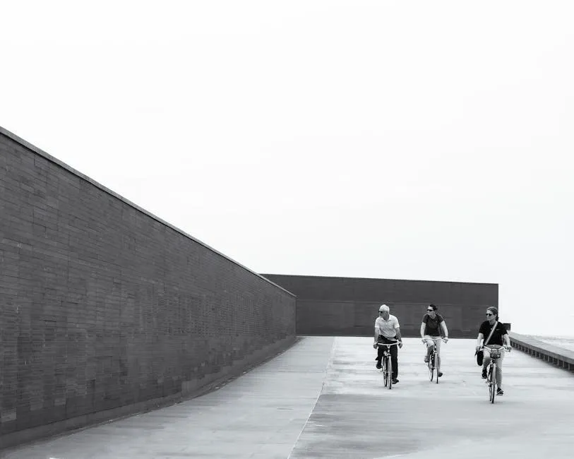 Conclusión: Bicicleta Fixie Urbana Hidroimpresión: Diseños Locos