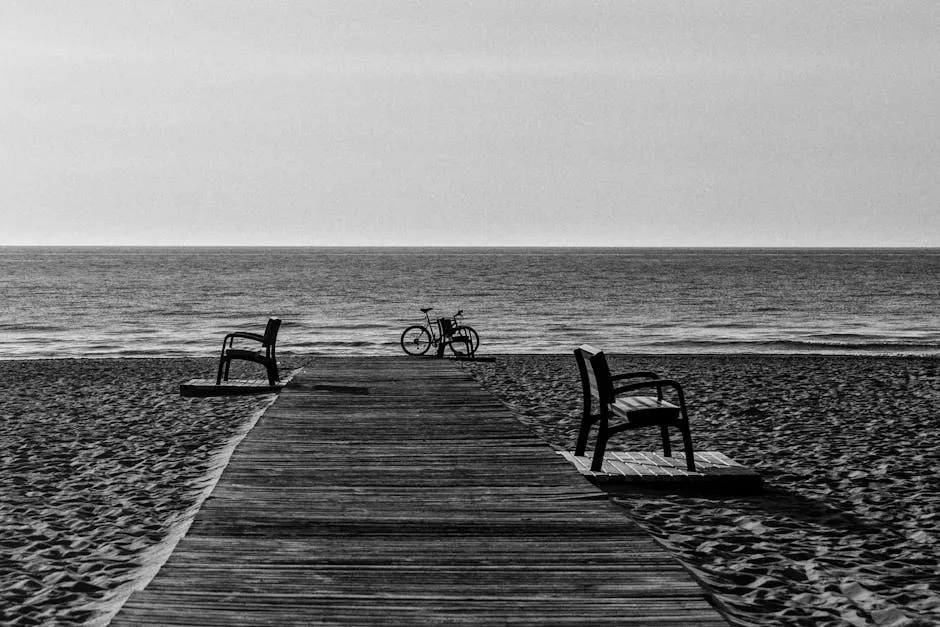 Bicicleta Fixie Urbana de Madera: ¿Realidad o Ficción?