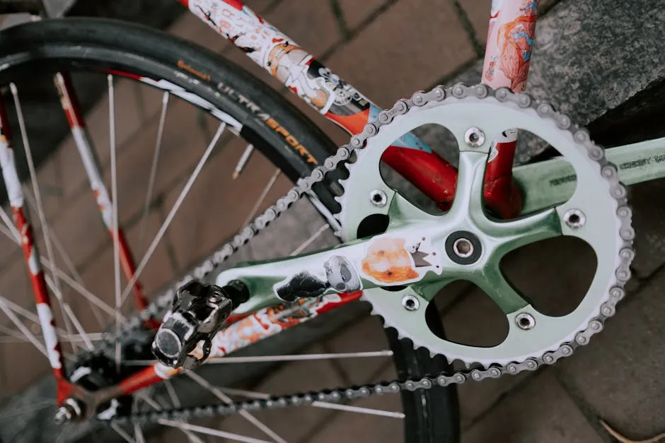 Bicicleta Fixie Urbana Hidroimpresión: Diseños Locos