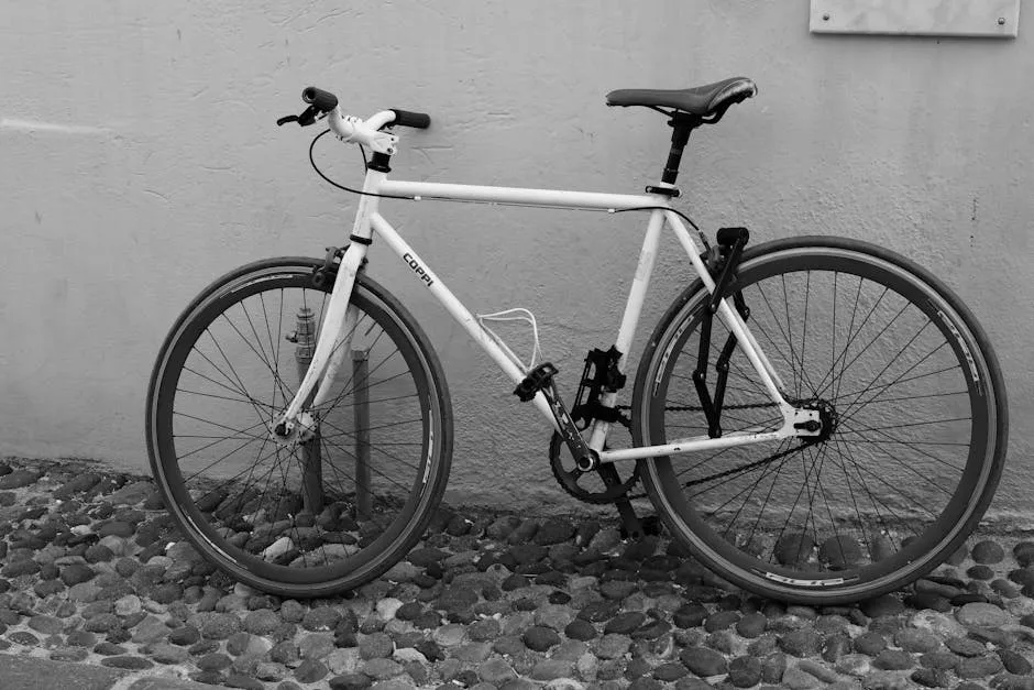 Bicicleta Fixie Urbana: La Guía Definitiva de este Año