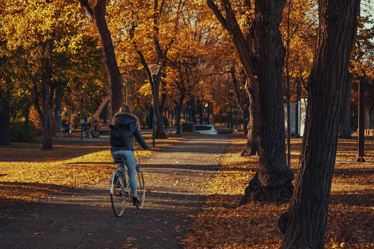 Bicicleta Fixie Urbana para Personas de Estatura Baja