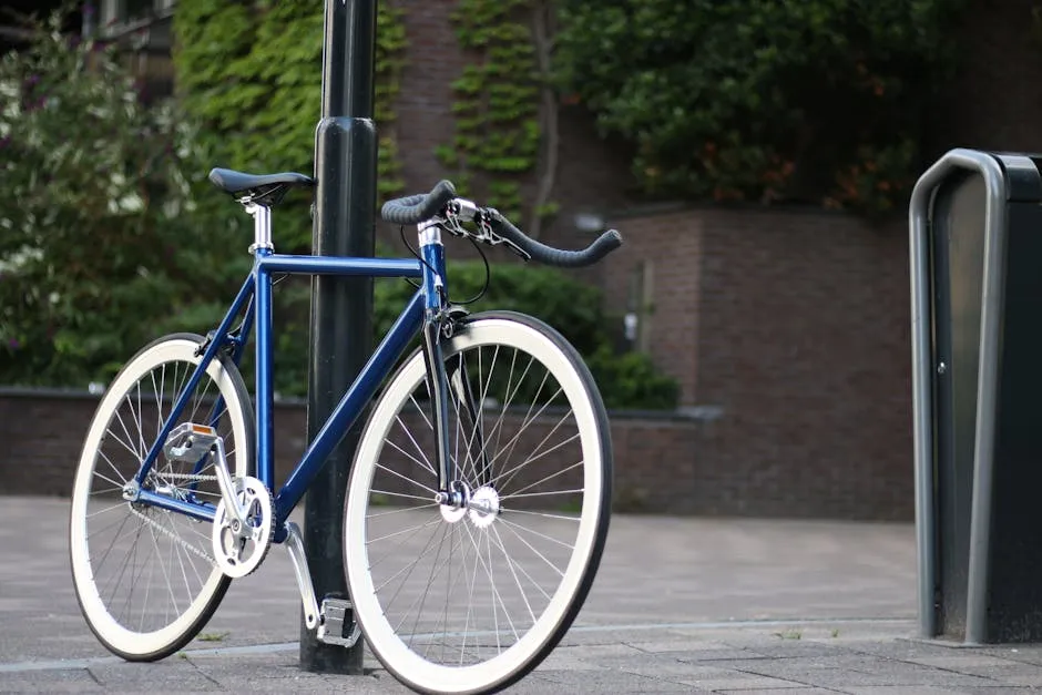 Bicicleta Fixie Urbana Talla M: La Medida Más Versátil