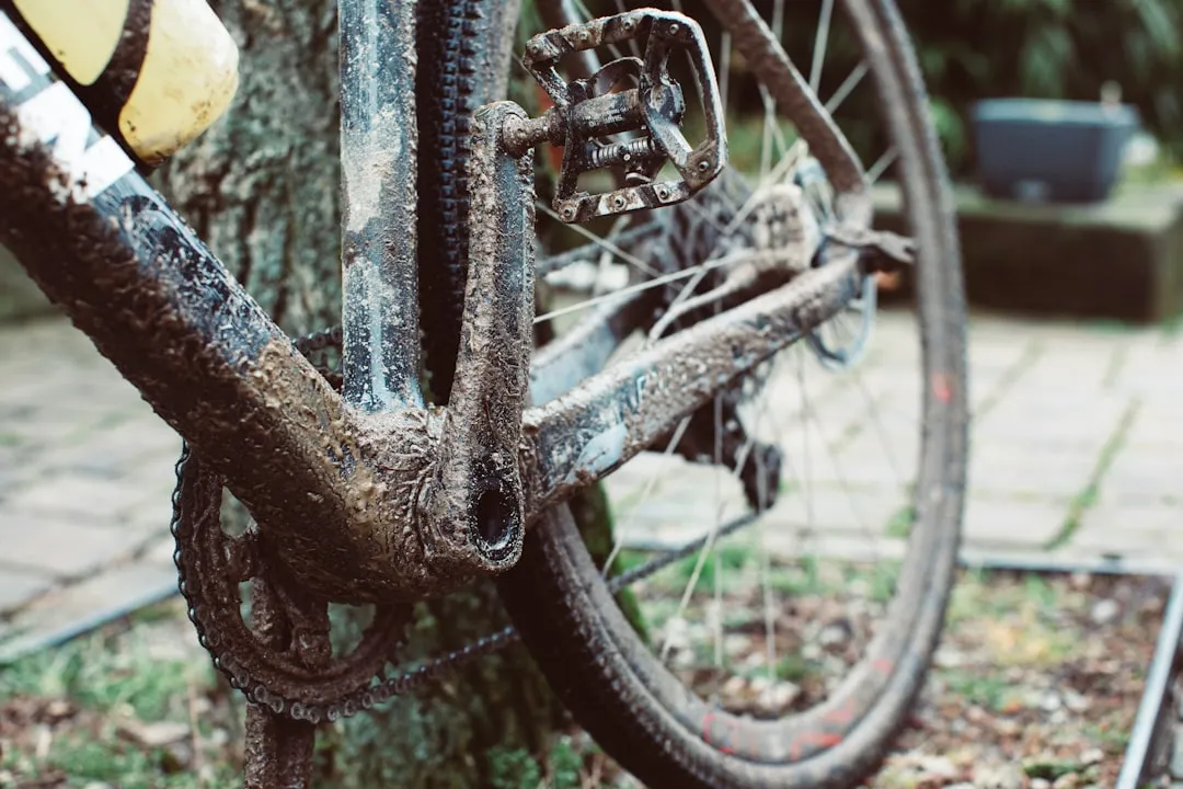 Frequently Asked Questions: Cómo Limpiar los Piñones de tu Bicicleta Fixie Urbana