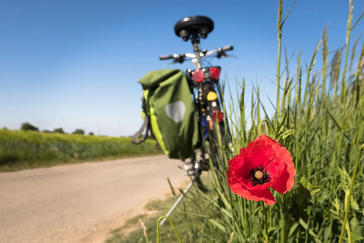 Cuál es la bicicleta de touring más duradera del mundo