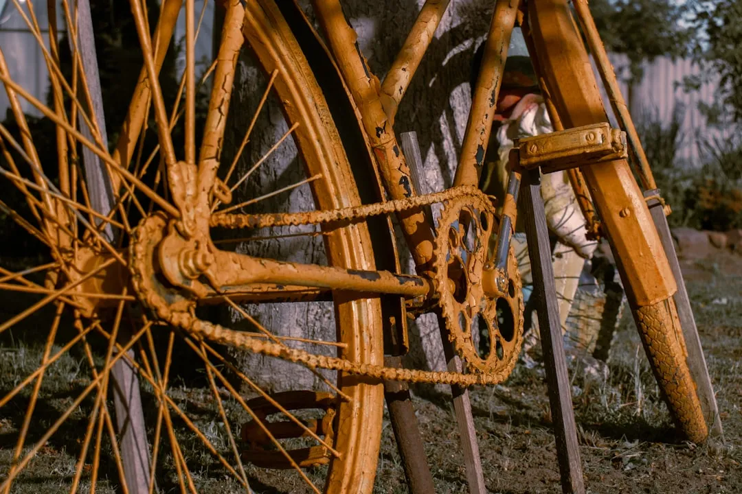 Las mejores llantas para tu bicicleta de touring (Lista)