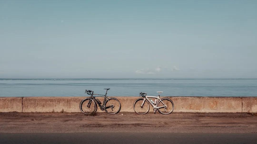 Las mejores ofertas en bicicleta touring este mes