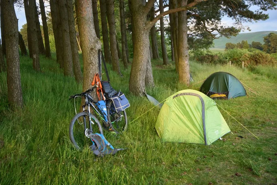 Qué bicicleta de touring elegir para cicloturismo puro