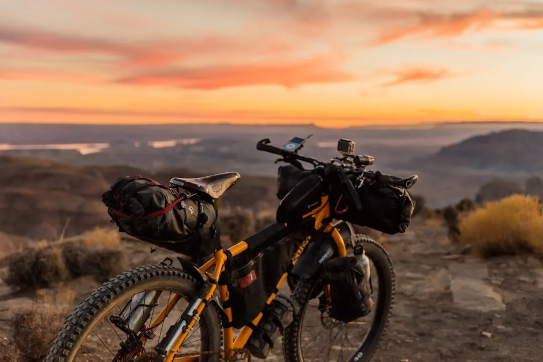 Introducción al tema: Bicicleta de touring recomendada para viajes de un año