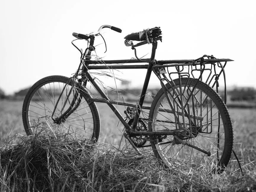 Bicicleta de touring outlet: Grandes marcas a bajo precio
