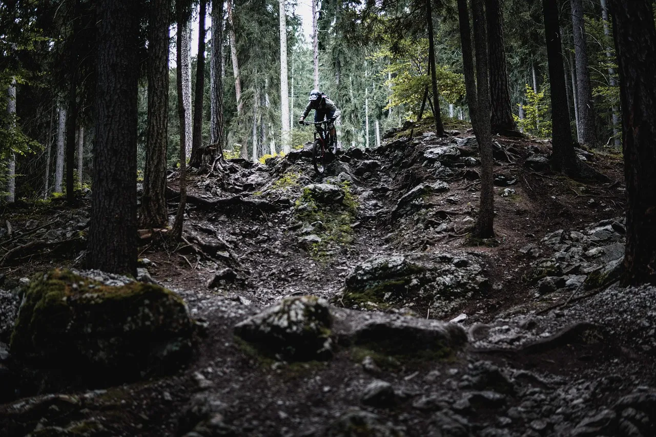 ¿Cuánto cuesta una bicicleta de touring de calidad?