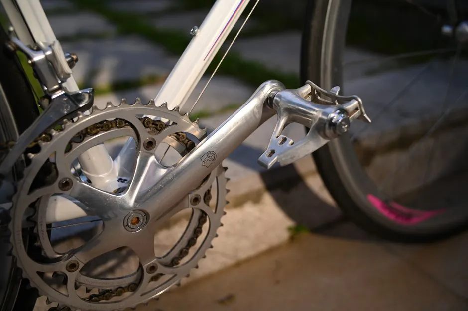 Qué transmisión elegir para tu bicicleta de touring