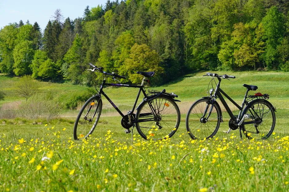Bicicleta touring: Precios actualizados y ofertas 2026