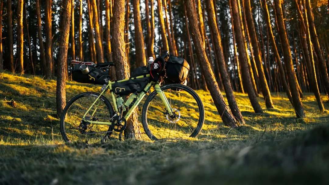 ¿Cuánto cuesta una bicicleta de touring de calidad?