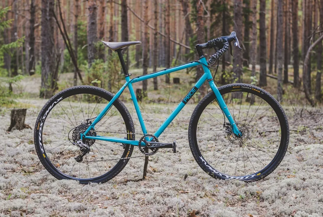 Las mejores suspensiones para bicicleta de touring