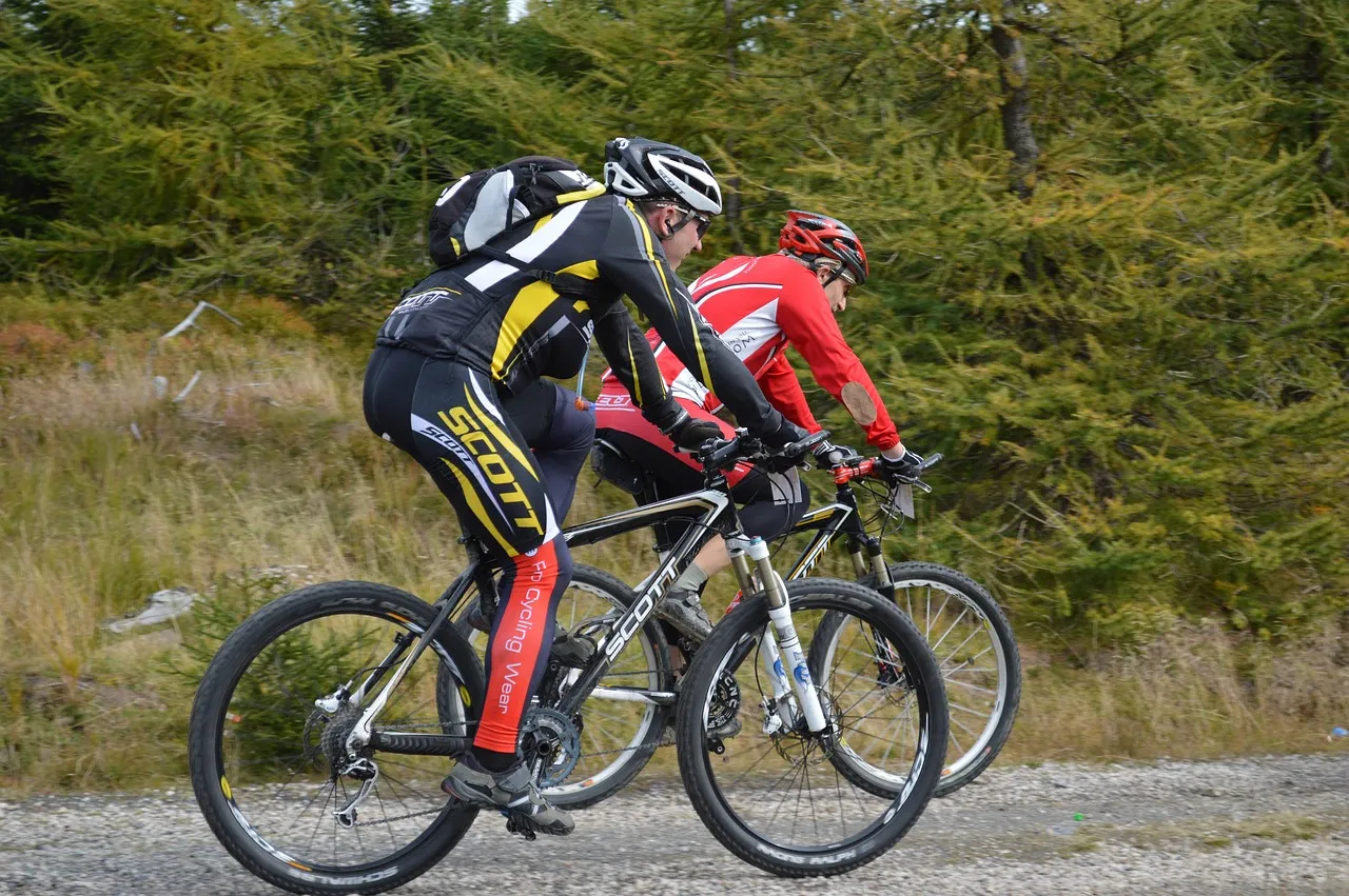 Conclusión: Las mejores bicicletas de touring para subir montañas