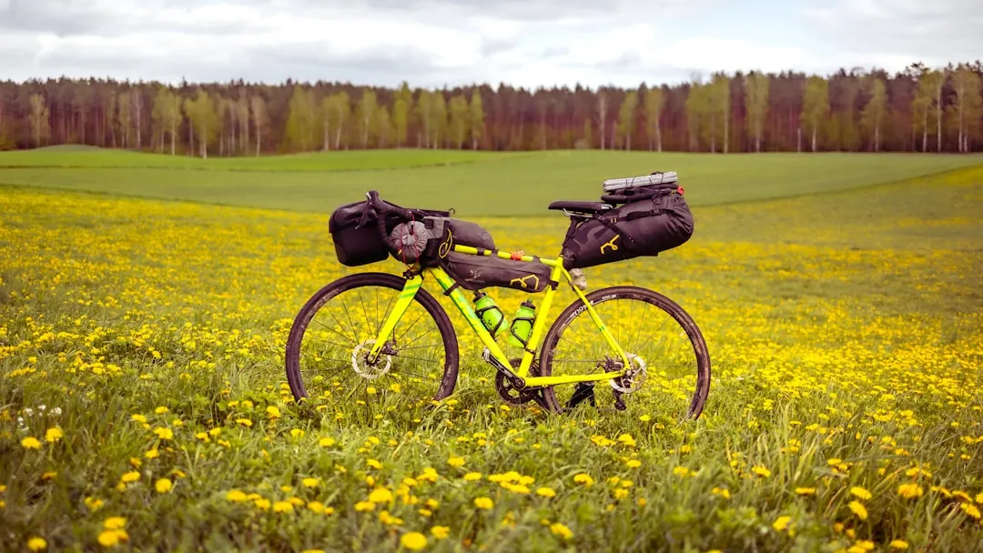 Las mejores tiendas para comprar una bicicleta touring