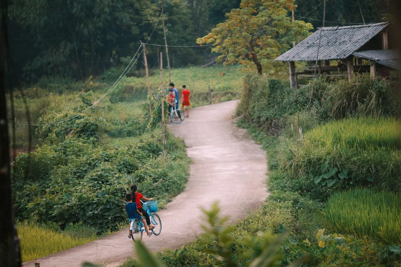 Todo sobre el mantenimiento de tu bicicleta de touring