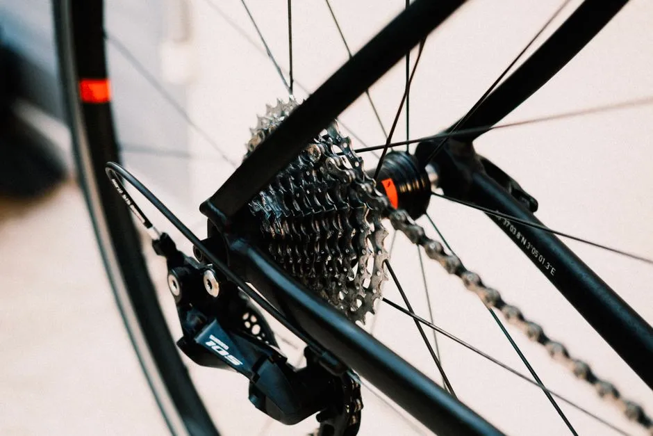 Introducción al tema: Qué transmisión elegir para tu bicicleta de touring